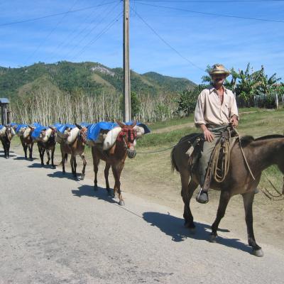 Cuba Oriente (à partir de 2690 Eur)