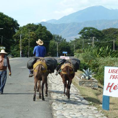 Cuba Oriente (à partir de 2690 Eur)