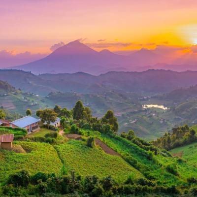 Ouganda (prix à partir de 2890 Euros)